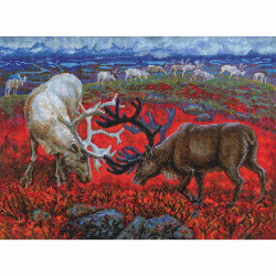 Cross-stitch kit RTOM1014