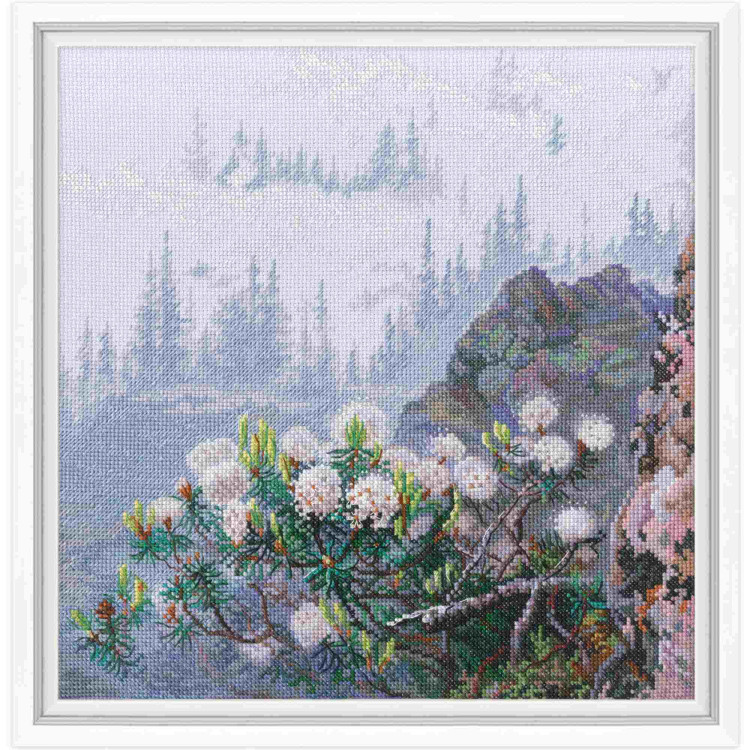 Cross-stitch kit RTOM1015