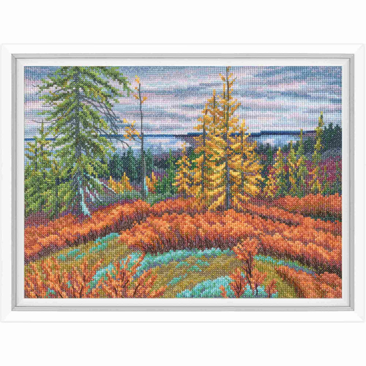 Siuvinėjimo kryželiu rinkinys RTOM1019