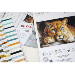 Kreuzstich-Set "Der wilde Geist" 48x32cm SBU5081