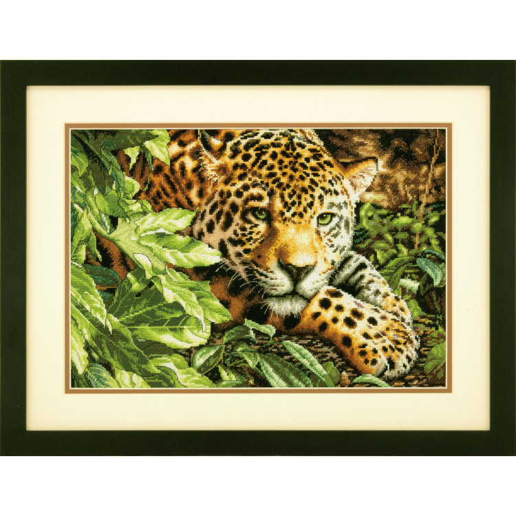 Leopard in Ruhe D70-35300