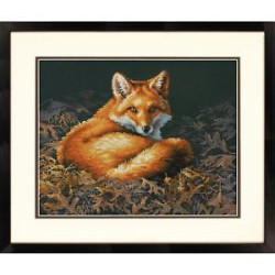 Sunlit Fox D70-35318