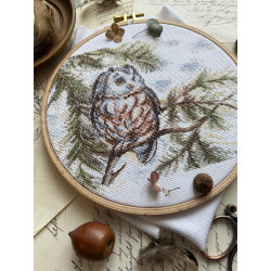 Cross stitch kit "Little Owl" SANS-73