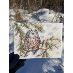 Cross stitch kit "Little Owl" SANS-73