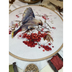 Cross stitch kit "Waxwing" SANS-72
