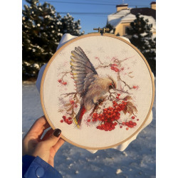 Cross stitch kit "Waxwing" SANS-72