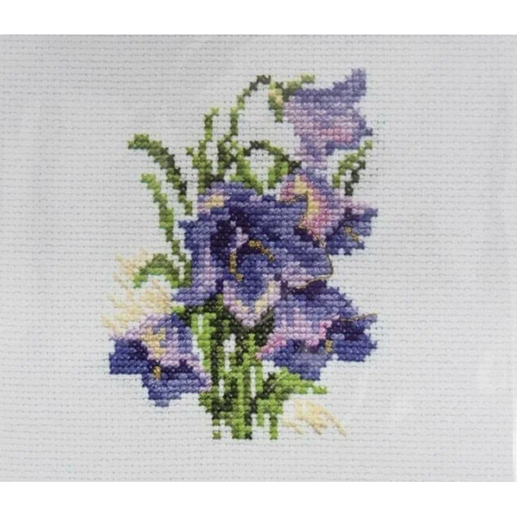 Blaue Glockenblumen S0-79