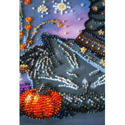 Vidutinio dydžio karoliukų siuvinėjimo rinkinys "Raganos svajonė" 20x20 cm AAMB-123