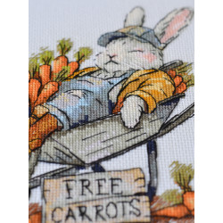 Наборы для вышивания крестиком «Бесплатная морковь» 20x18 см AAH-288