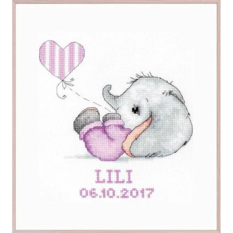 (D) Luca-S Frame Kit SR4