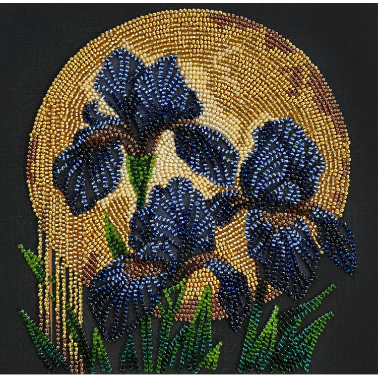 Vidutinio dydžio karoliukų siuvinėjimo rinkinys. "Šokis aukso šviesoje" 20x20 cm AAMB-126