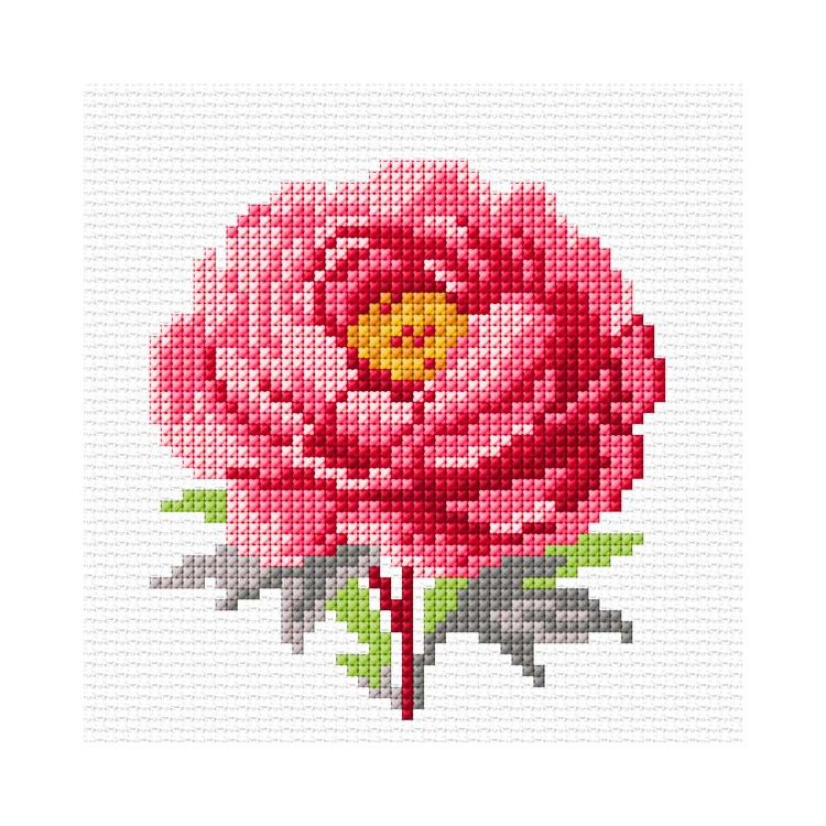 Kreuzstich-Set "Pfingstrose" 11x11 cm SA75003