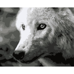Malen-nach-Zahlen-Set. F011 Weißer Wolf 40*50