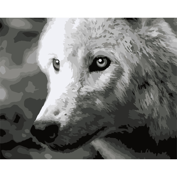 Malen-nach-Zahlen-Set. F011 Weißer Wolf 40*50