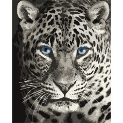 Piešimo pagal skaičius rinkinys. F012 Mėlynaakis leopardas 40*50