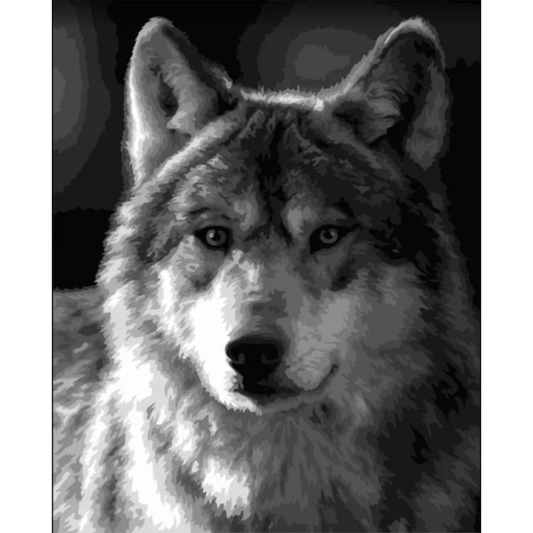 Картина Wizardi по номерам. Серебряный волк 40х50 см F015