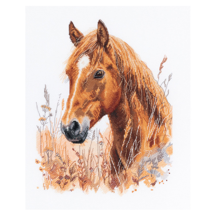 Kryželiu siuvinėjimo rinkinys PANNA "Stepėje tarp žolių" 26,5 x 33 cm PJ-7528