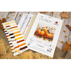 Kryželiu siuvinėjimo rinkinys. "Rudens moliūgas" 19x18 cm SB1434