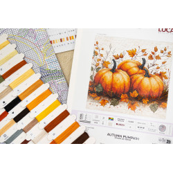 Kryželiu siuvinėjimo rinkinys. "Rudens moliūgas" 19x18 cm SB1434