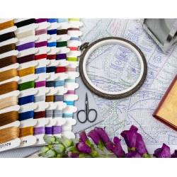 Cross stitch kit "Dragon Studies" 38x29 cm SLETIL9965