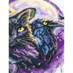 Kryželiu siuvinėjimo rinkiniai "Magijos šešėliai" 20x20 cm AAH-306