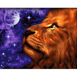 Wizardi painting by number kit. Moon Kingdom 40x50 cm H073