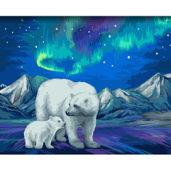 Wizardi tapyba pagal numerius. Aurora Borealis 40x50 cm H095 0125