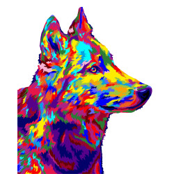 Malen-nach-Zahlen-Set. H138 Wolf Pop Art 40*50