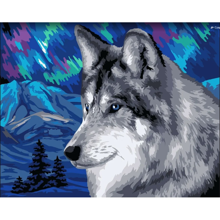 Картина Wizardi по номерам. Полярный волк 40x50 см H150