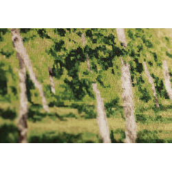 Набор для вышивания крестиком «Березовая роща» 70x40 см S/MK113