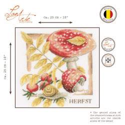 Needlecraft rinkinys PN/0162304