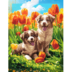 Diamond Painting kit with subframe "Puppies in tulips" 30x40 cm VA930
