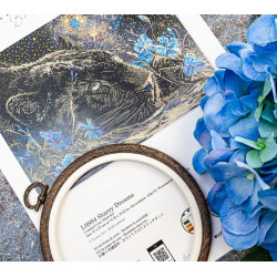 Cross stitch kit "Starry Dreams" 37 x 27cm SLETIL9984