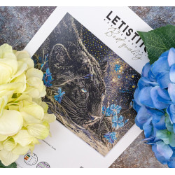 Cross stitch kit "Starry Dreams" 37 x 27cm SLETIL9984