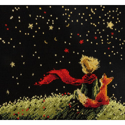 Cross stitch kit PANNA "Dreams of the Stars" 17.5 x 17.5 cm PVS-7555