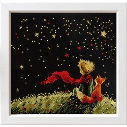 Cross stitch kit PANNA "Dreams of the Stars" 17.5 x 17.5 cm PVS-7555