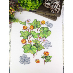 Cross stitch kit "Cloudberry" 28*19 cm SNV-930