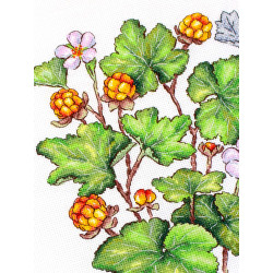 Cross stitch kit "Cloudberry" 28*19 cm SNV-930