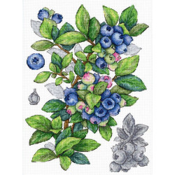 Cross stitch kit "Blueberry" 28*20 cm SNV-929