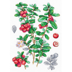 Cross stitch kit "Cowberry" 29*20 cm SNV-928