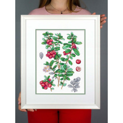 Набор для вышивания крестом "Брусника" SNV-928