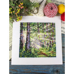 Cross stitch kit "Sunny Forest" 20*20 cm SNV-1004