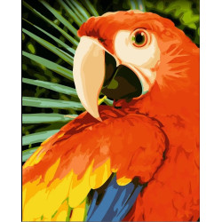 Wizardi painting by number kit. Macaw 40x50 cm H154