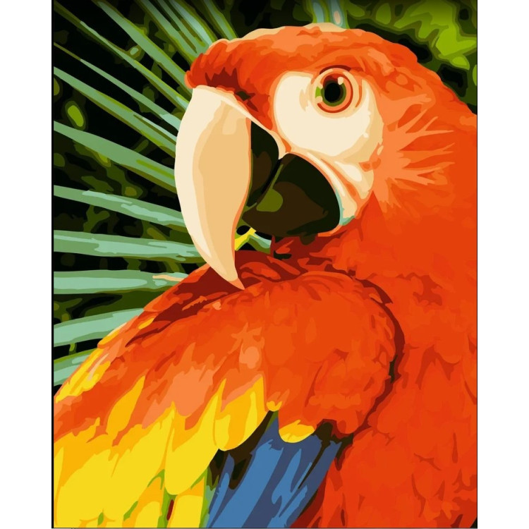 Wizardi painting by number kit. Macaw 40x50 cm H154