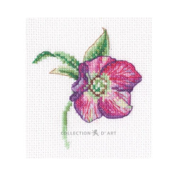 Kreuzstichpackung "Christrose" 8,5*9,5 cm RTOEH385