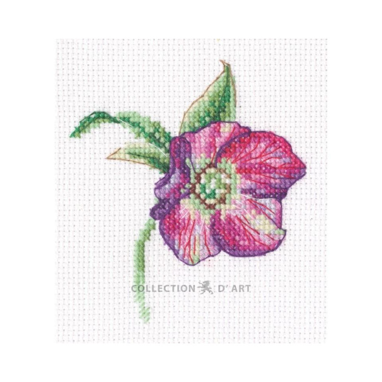 Kreuzstichpackung "Christrose" 8,5*9,5 cm RTOEH385