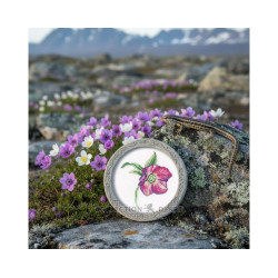 Kreuzstichpackung "Christrose" 8,5*9,5 cm RTOEH385