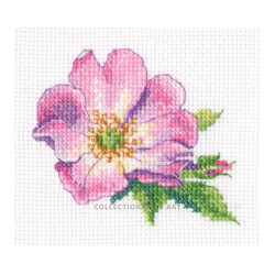 Kreuzstich-Set "Wilde Rose" 7,5*9 cm RTOEH383