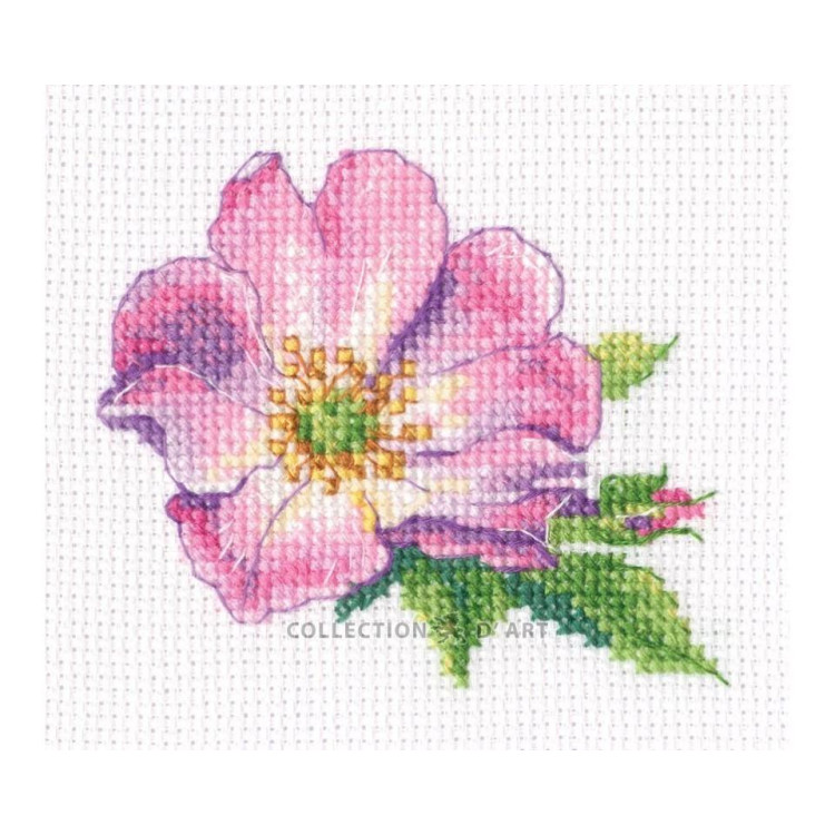 Kreuzstich-Set "Wilde Rose" 7,5*9 cm RTOEH383