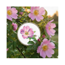 Kreuzstich-Set "Wilde Rose" 7,5*9 cm RTOEH383